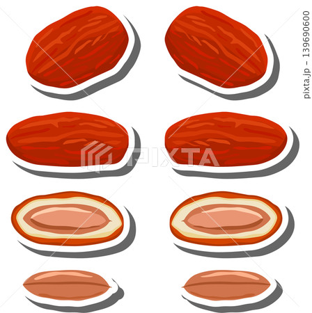 Fruit theme from set juicy delicious date of various sizes Fruit theme from set juicy delicious date of various sizes 139690600