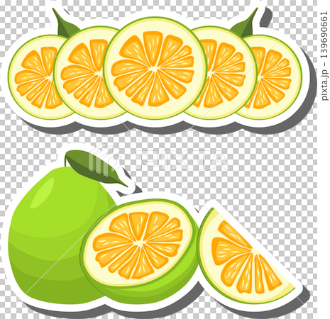 Fruit theme from set juicy delicious pomelo of various sizes Fruit theme from set juicy delicious pomelo of various sizes 139690661