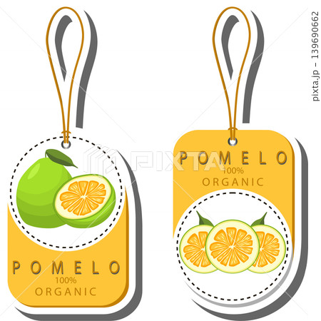 Fruit theme from set juicy delicious pomelo of various sizes Fruit theme from set juicy delicious pomelo of various sizes 139690662