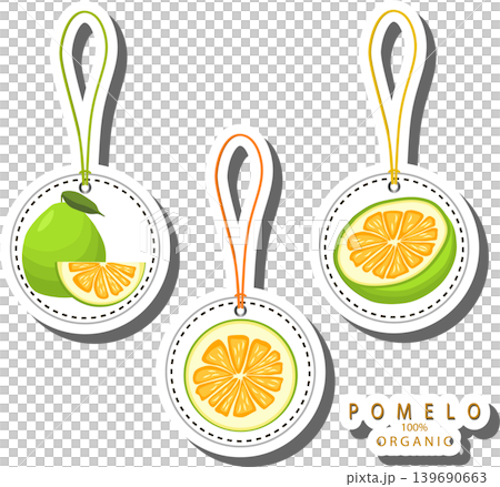 Fruit theme from set juicy delicious pomelo of various sizes Fruit theme from set juicy delicious pomelo of various sizes 139690663