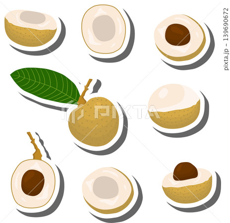 Fruit theme from set juicy delicious longan of various sizes Fruit theme from set juicy delicious longan of various sizes 139690672