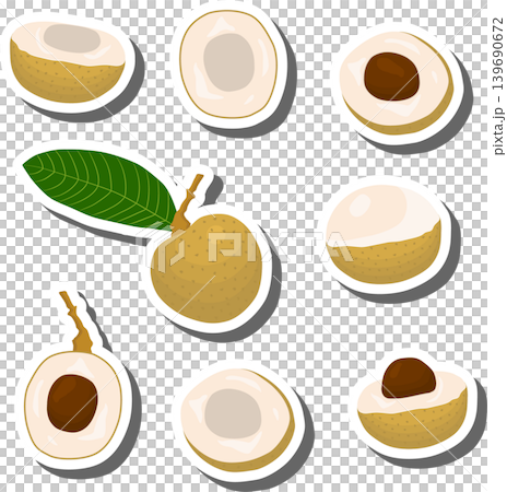 Fruit theme from set juicy delicious longan of various sizes Fruit theme from set juicy delicious longan of various sizes 139690672