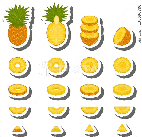 Fruit theme from set juicy delicious pineapple of various sizes Fruit theme from set juicy delicious pineapple of various sizes 139690880