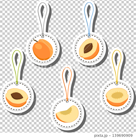 Fruit theme from set juicy delicious apricot of various sizes Fruit theme from set juicy delicious apricot of various sizes 139690909