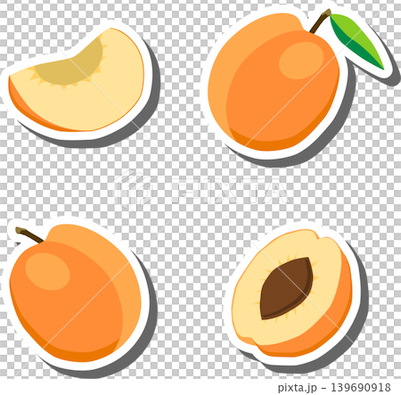 Fruit theme from set juicy delicious apricot of various sizes Fruit theme from set juicy delicious apricot of various sizes 139690918