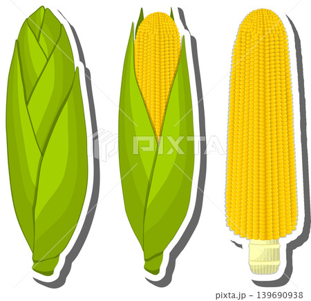 Fruit theme from set juicy delicious corn of various sizes 139690938