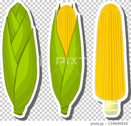 Fruit theme from set juicy delicious corn of various sizes 139690938