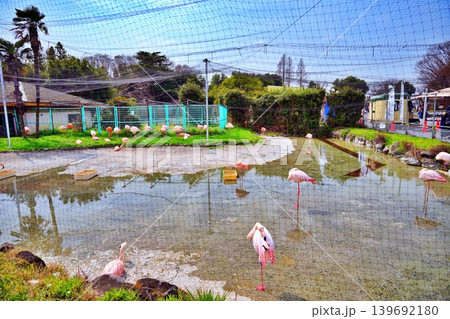 東武動物公園の風景 139692180