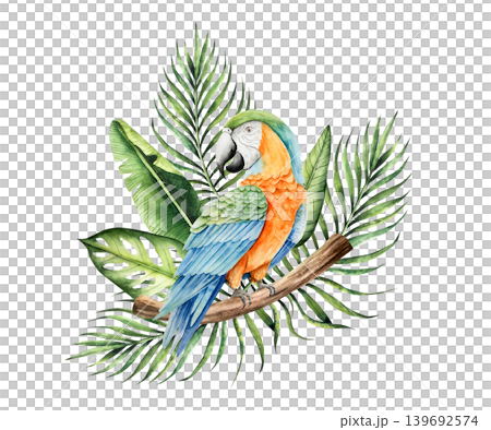 Parrot macaw sits on a branch in the leaves of a palm tree, monstera. Watercolor hand drawn bird, isolated illustration on transparent background. Perfect for tropical design projects. For designers 139692574