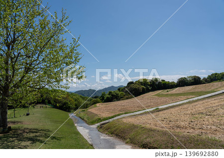 兵庫県立公園あわじ花さじき 兵庫県立公園あわじ花さじき 139692880