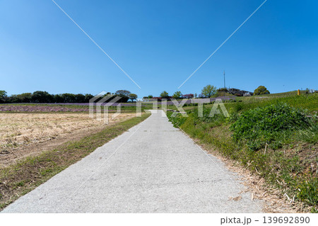 兵庫県立公園あわじ花さじき 兵庫県立公園あわじ花さじき 139692890