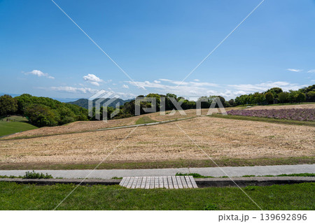 兵庫県立公園あわじ花さじき 兵庫県立公園あわじ花さじき 139692896