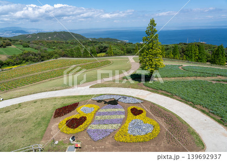 兵庫県立公園あわじ花さじき 兵庫県立公園あわじ花さじき 139692937