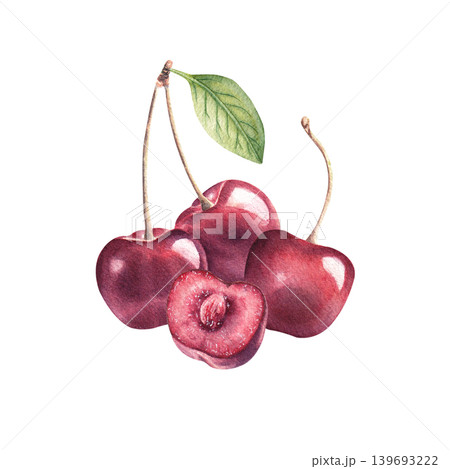 Cherries with leaf watercolor illustration isolated on white background. Hand drawn berries in vibrant colors 139693222