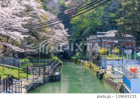 京都の春の琵琶湖疏水(山科疏水)と桜 第三トンネル西口 京都の春の琵琶湖疏水(山科疏水)と桜 第三トンネル西口 139693235