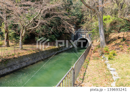 京都の春の琵琶湖疏水(山科疏水)　第三トンネル東口 139693241