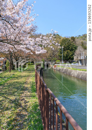 京都の春の琵琶湖疏水(山科疏水)と桜 第三トンネル東口 京都の春の琵琶湖疏水(山科疏水)と桜 第三トンネル東口 139693262
