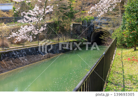 京都の春の琵琶湖疏水(山科疏水)と桜 第ニトンネル東口 京都の春の琵琶湖疏水(山科疏水)と桜 第ニトンネル東口 139693305