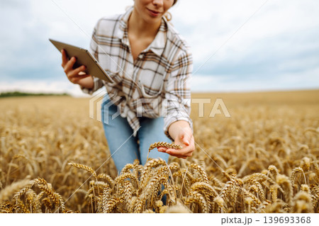 Woman agronomist in a field with a tablet checks the growth of the crop. New harvest concept. Woman agronomist in a field with a tablet checks the growth of the crop. New harvest concept. 139693368
