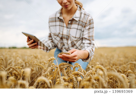 Woman agronomist in a field with a tablet checks the growth of the crop. New harvest concept. 139693369