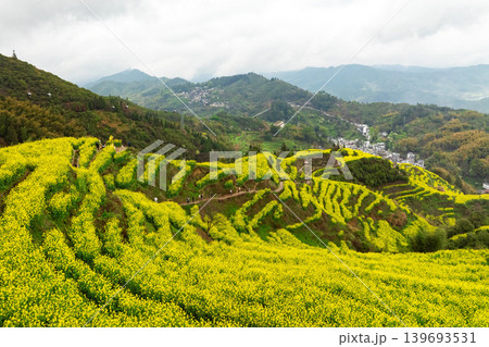 Beautiful terrace rice fields with small houses in China. Beautiful terrace rice fields with small houses in China. 139693531