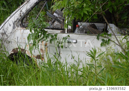 雑草に埋もれた放置自動車 雑草に埋もれた放置自動車 139693582