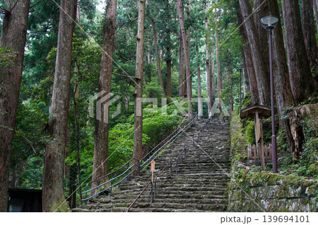 熊野古道の杉林を登る石段の参道 139694101