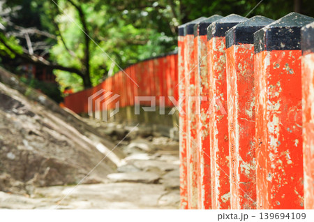熊野古道の朱色の柵と苔むした石畳の道 熊野古道の朱色の柵と苔むした石畳の道 139694109