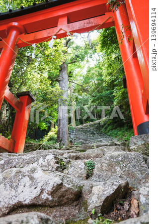 緑に囲まれた石段と朱色の鳥居 139694114