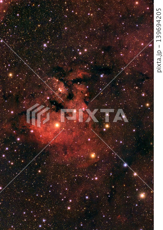 Deep space unfolds with a glowing red emission nebula, intricate dark dust lanes, and countless brilliant stars creating a spectacular cosmic display in the night sky. 139694205