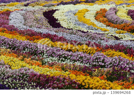 カラフルな花々 カラフルな花々 139694268