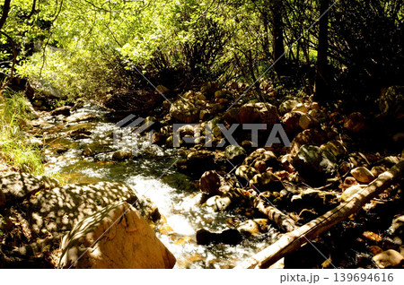 Tonto Creek in white mountains Arizona Tonto Creek in white mountains Arizona 139694616