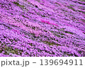 芝桜 139694911