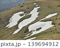 残雪 139694912