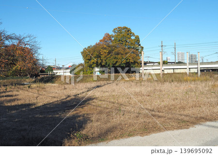 武蔵国分尼寺跡の金堂跡(東京都国分寺市) 武蔵国分尼寺跡の金堂跡(東京都国分寺市) 139695092