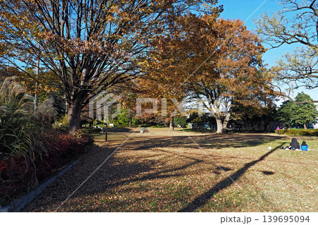 武蔵国分尼寺跡の全景(東京都国分寺市) 武蔵国分尼寺跡の全景(東京都国分寺市) 139695094