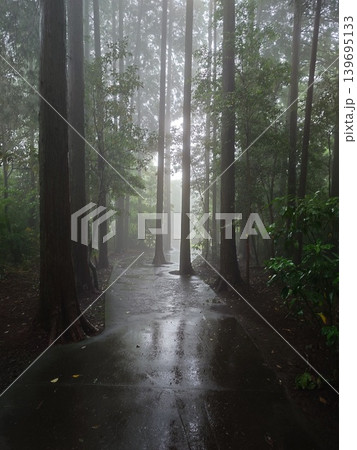 霧深い道 霧深い道 139695133