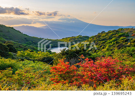 【静岡県】満開の山ツツジが美しい箱根玄岳から眺める富士山 夕景 【静岡県】満開の山ツツジが美しい箱根玄岳から眺める富士山 夕景 139695243