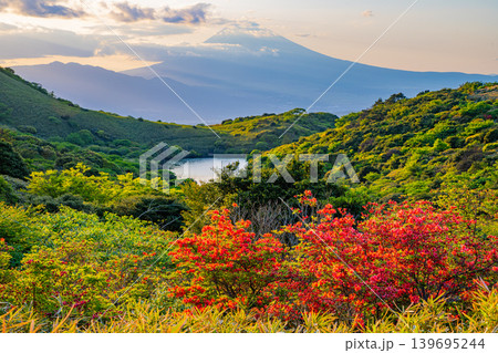 【静岡県】満開の山ツツジが美しい箱根玄岳から眺める富士山 夕景 【静岡県】満開の山ツツジが美しい箱根玄岳から眺める富士山 夕景 139695244