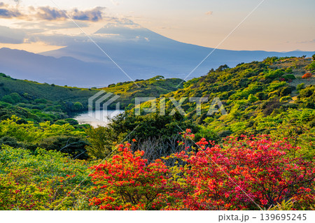 【静岡県】満開の山ツツジが美しい箱根玄岳から眺める富士山 夕景 【静岡県】満開の山ツツジが美しい箱根玄岳から眺める富士山 夕景 139695245