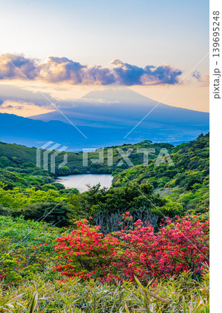 【静岡県】満開の山ツツジが美しい箱根玄岳から眺める富士山　夕景 139695248