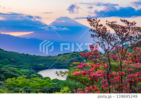 【静岡県】満開の山ツツジが美しい箱根玄岳から眺める富士山 夕景 【静岡県】満開の山ツツジが美しい箱根玄岳から眺める富士山 夕景 139695249