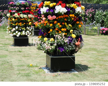 カラフルな花の寄せ植え 139695252