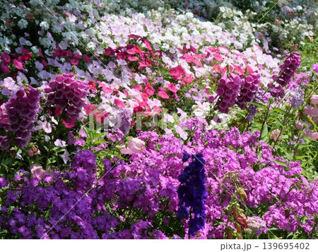 赤いツツジの花 139695402