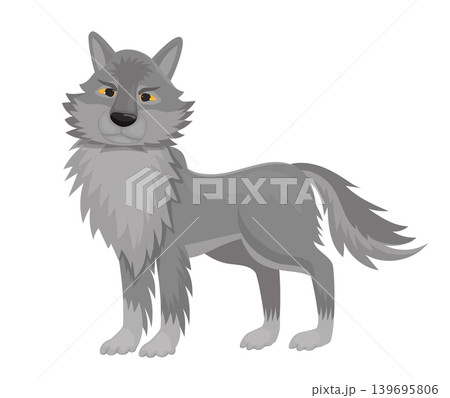Wolf with Gray Fur Wolf with Gray Fur 139695806