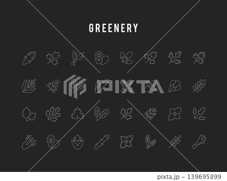 Set Vector Line Icons of Spices and Seasonings 139695899