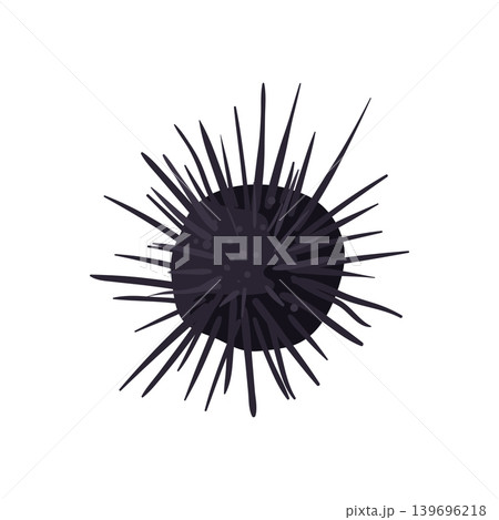 Sea Urchin Illustration Sea Urchin Illustration 139696218