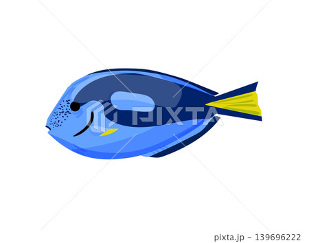 Blue Tang Fish Illustration Blue Tang Fish Illustration 139696222