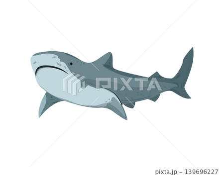 Shark Illustration Shark Illustration 139696227