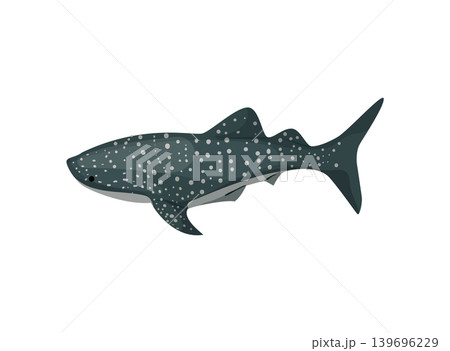Whale Shark Illustration Whale Shark Illustration 139696229